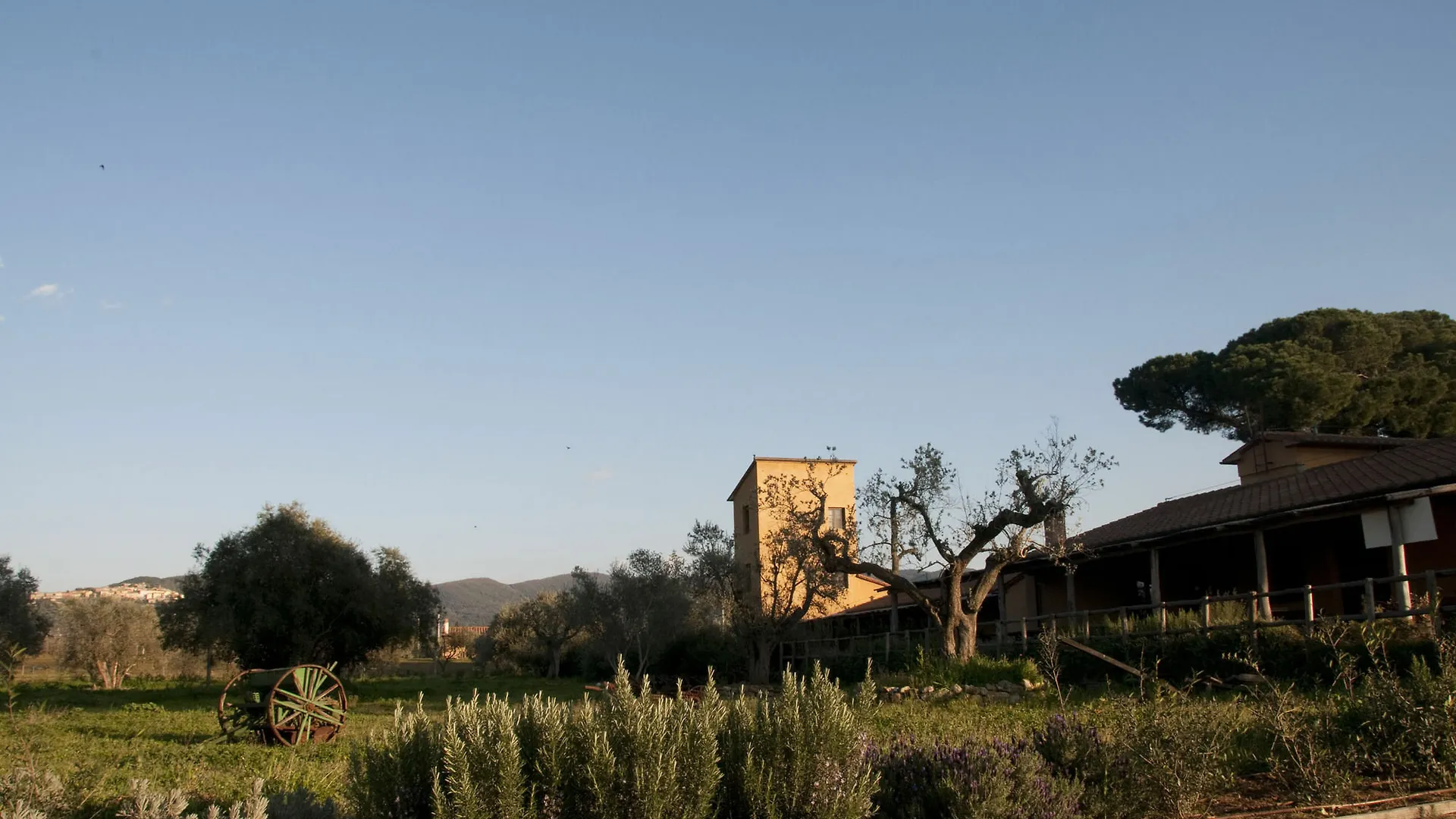 Country house Casone Ugolino Guest House Donoratico Italy