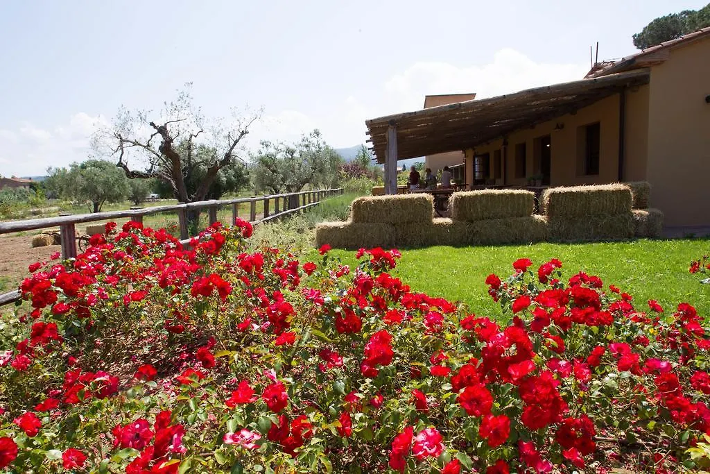 Country house Casone Ugolino Guest House Donoratico