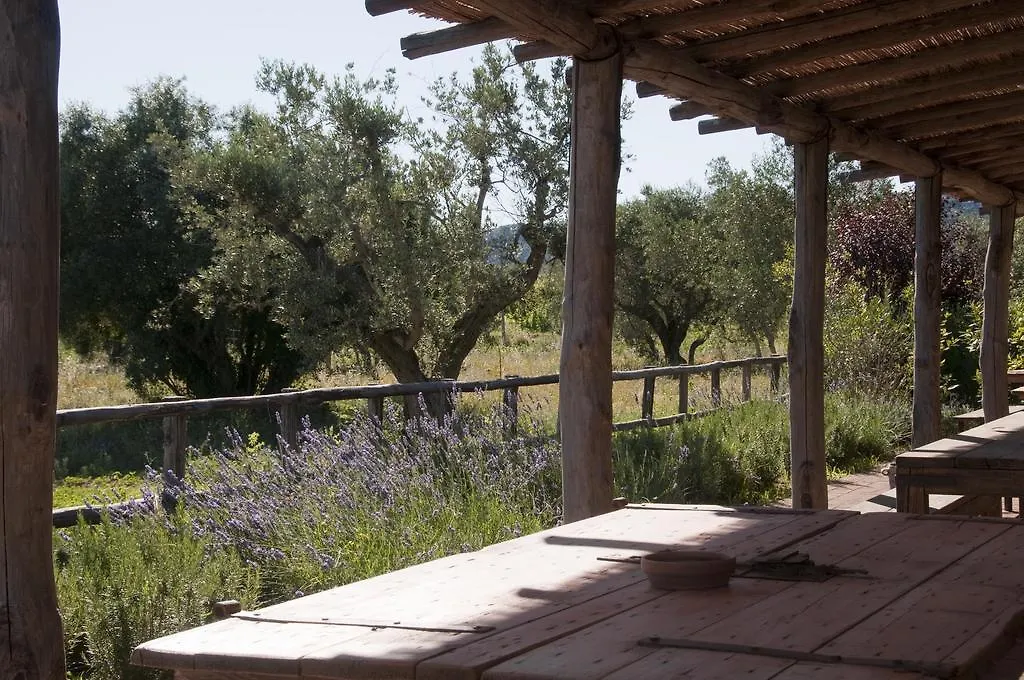 Casa di campagna Affittacamere Casone Ugolino Donoratico Italia
