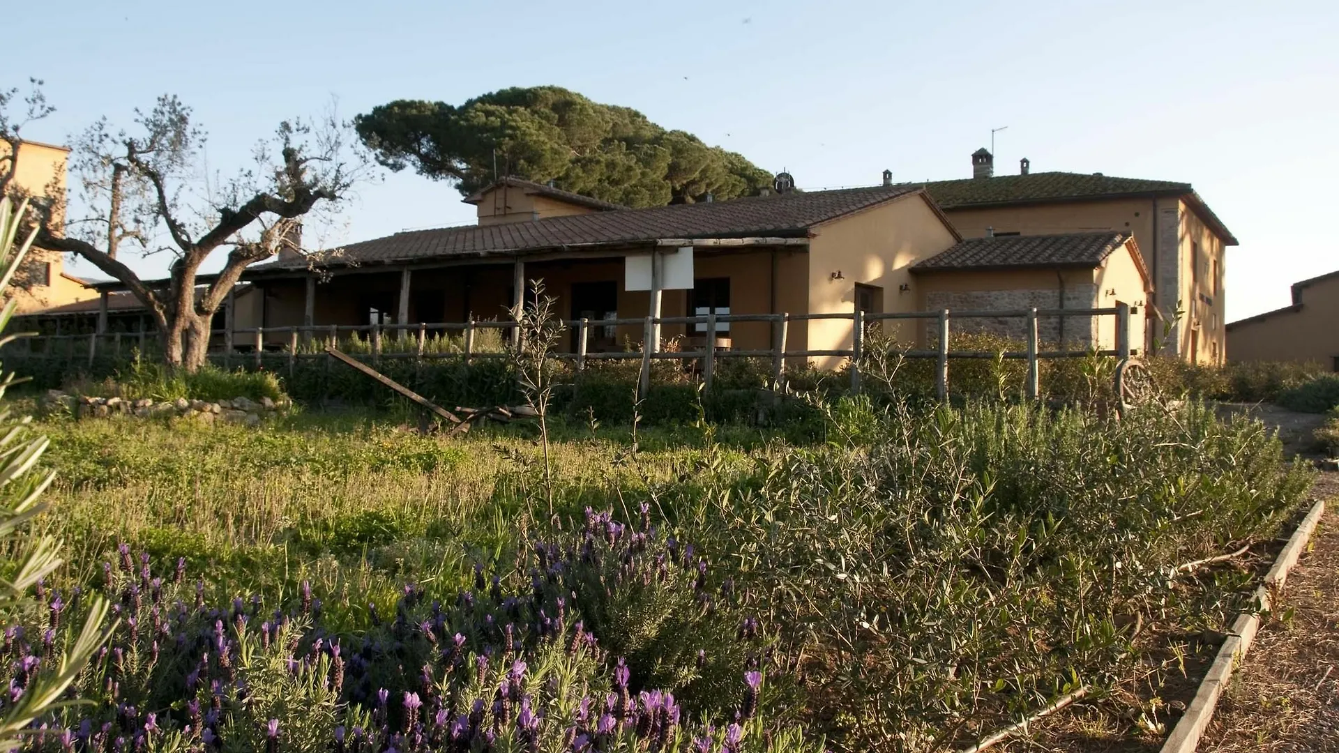 Casone Ugolino Guest House Donoratico Italy