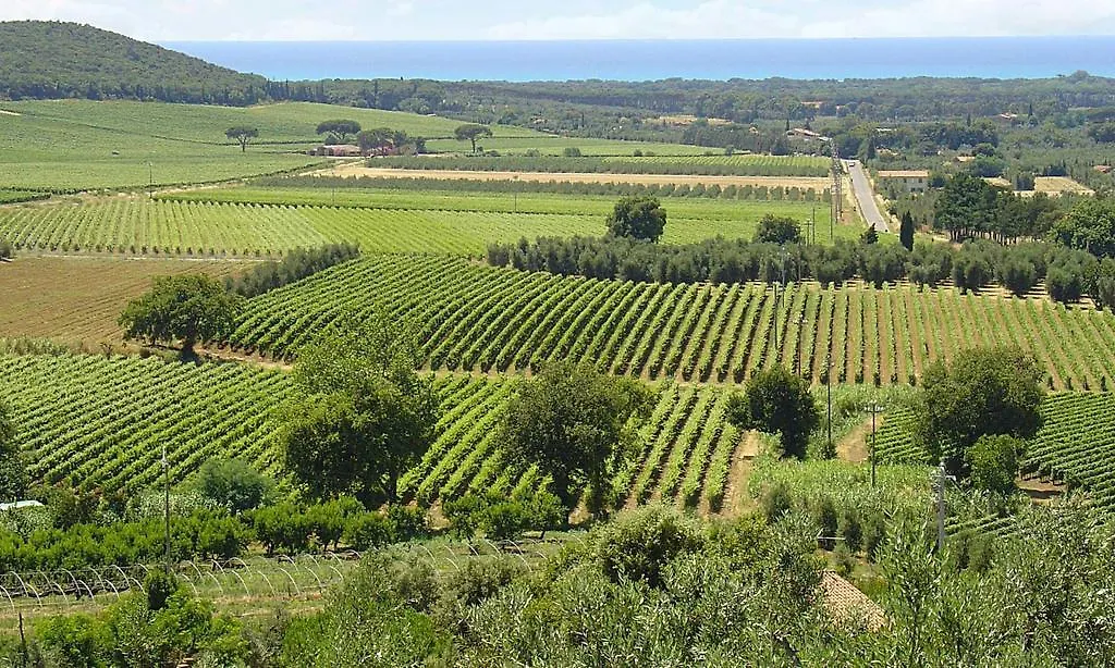 Casone Ugolino Guest House Donoratico 0*,  Italy