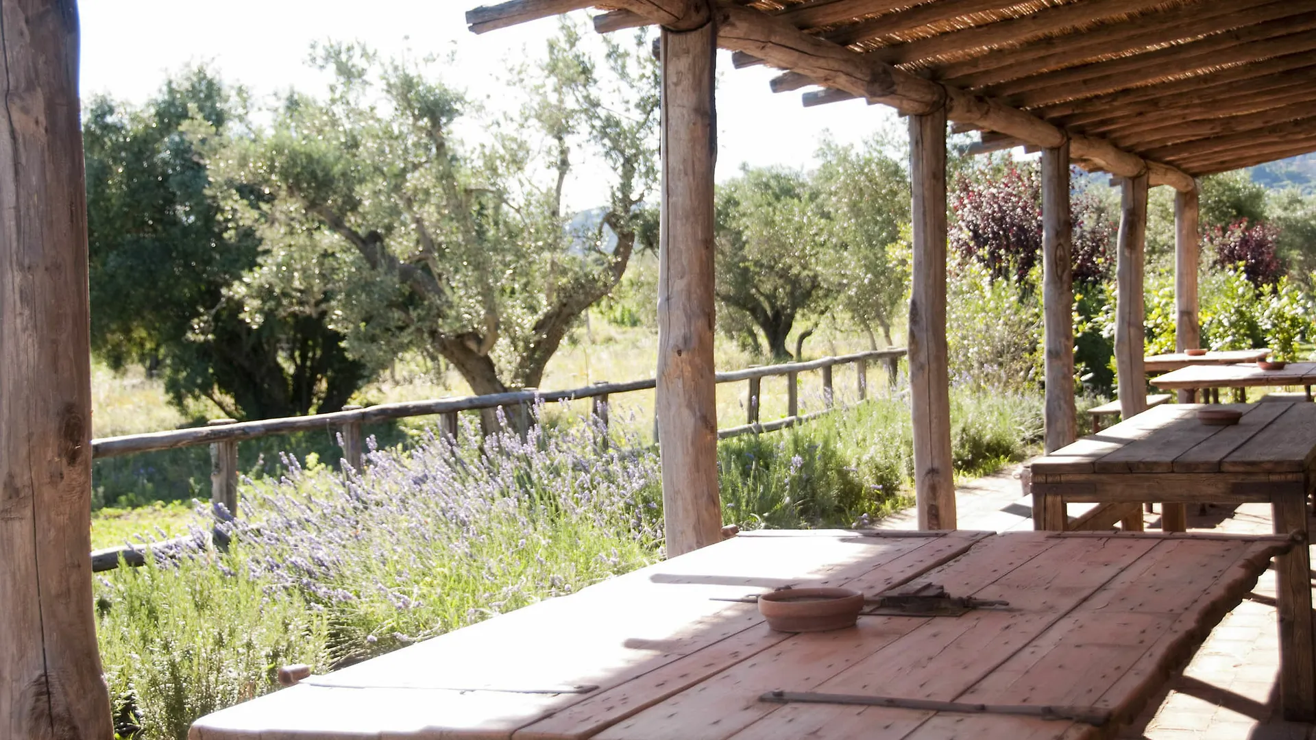 Casone Ugolino Guest House Donoratico Italy